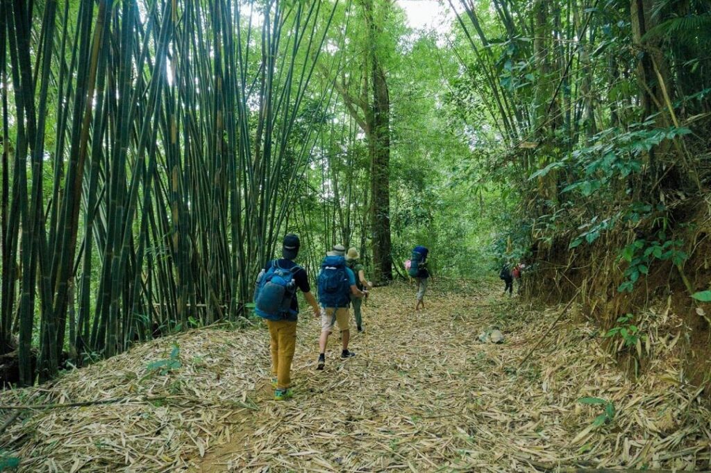 Trải nghiệm Trekking Bù Gia Mập 3N2Đ, lịch trình tự túc dành cho tín đồ du lịch 4