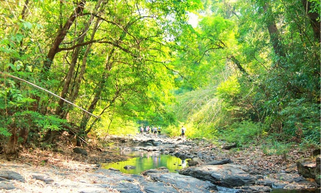 Trải nghiệm Trekking Bù Gia Mập 3N2Đ, lịch trình tự túc dành cho tín đồ du lịch 9