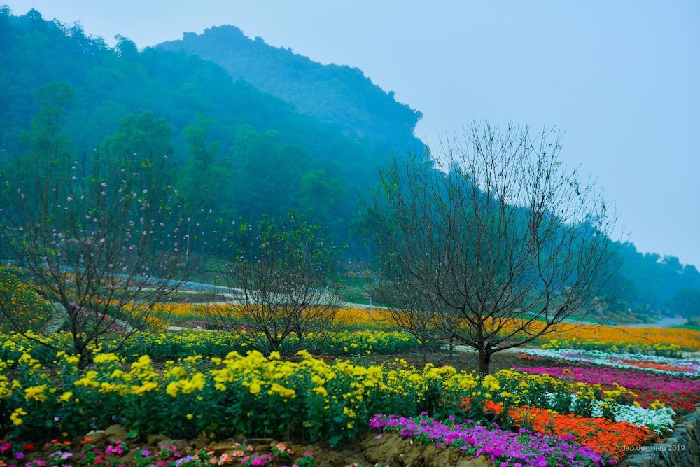 Trẩy hội du xuân Ninh Bình tại các điểm tham quan nổi tiếng 2