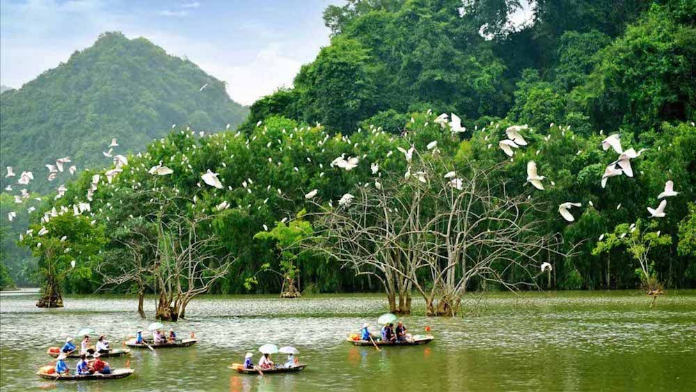 Trẩy hội du xuân Ninh Bình tại các điểm tham quan nổi tiếng 11