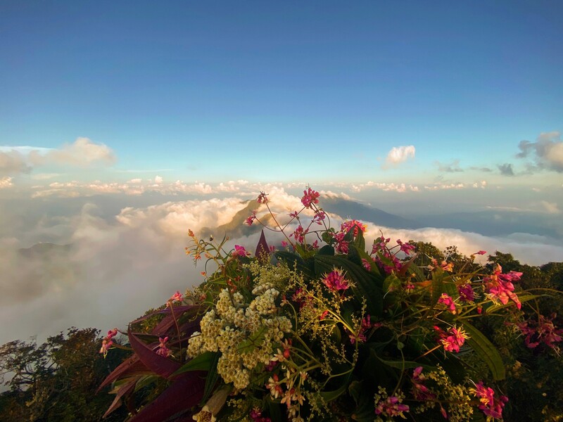 Kinh nghiệm trekking Hà Giang với những cung đường đẹp nhất 3