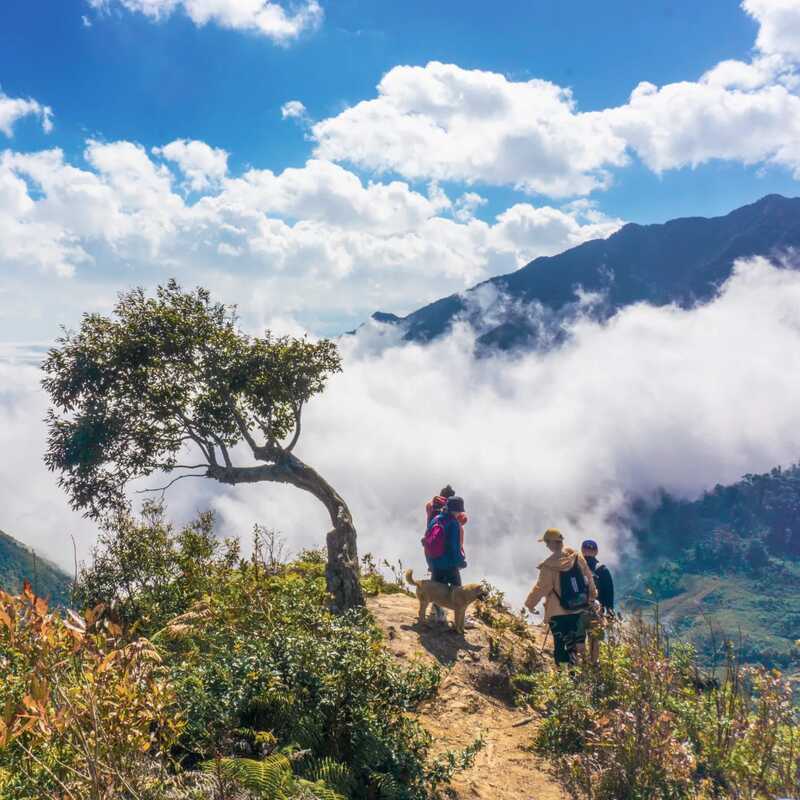 Trekking Lùng Cúng Yên Bái, điểm đến ấn tượng giữa rừng già 3