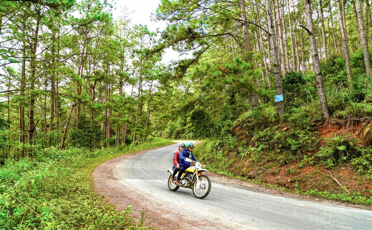 Trekking Măng Đen, chinh phục những cung đường tuyệt đẹp 4