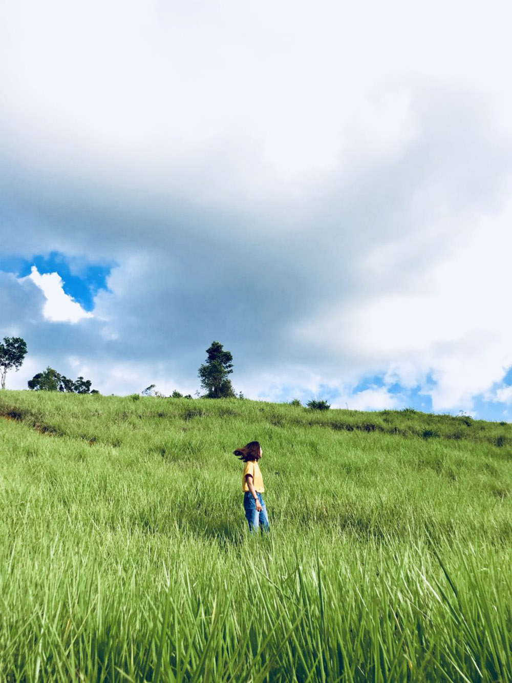 Trekking Măng Đen, chinh phục những cung đường tuyệt đẹp 6