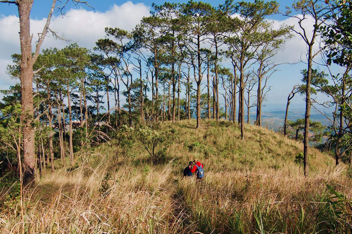 Trekking Măng Đen, chinh phục những cung đường tuyệt đẹp 9