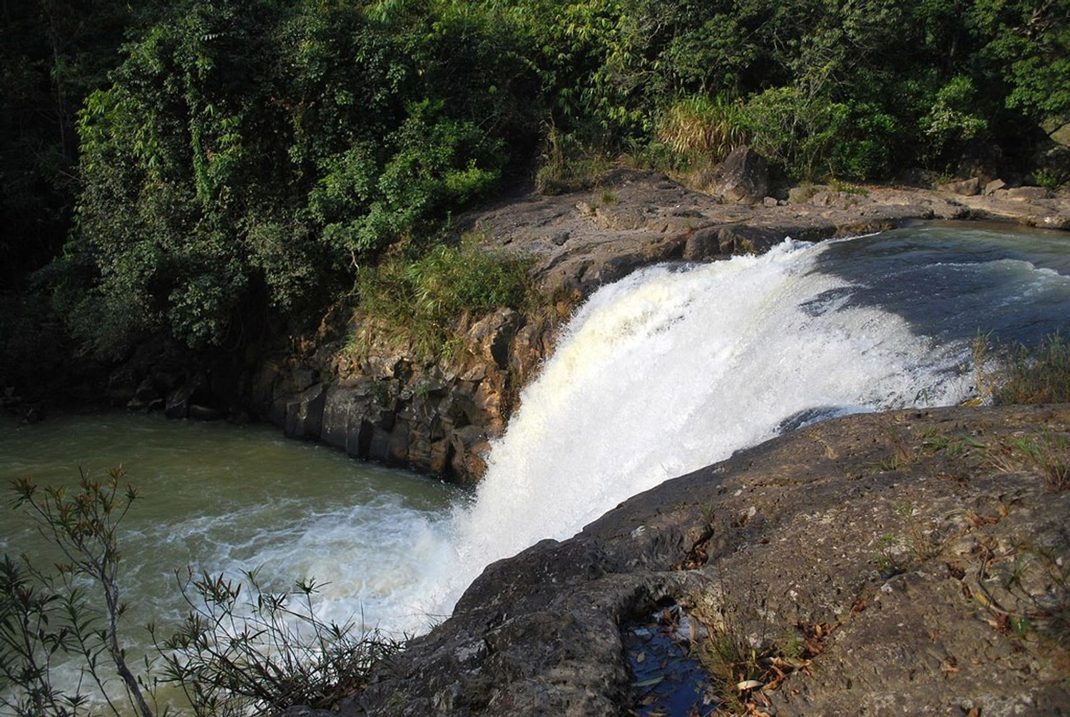 Trekking Măng Đen, chinh phục những cung đường tuyệt đẹp 10