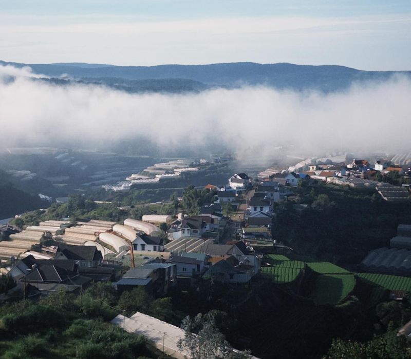 Trên Đồi Có Mây Coffee Đà Lạt, chốn chữa lành giữa rừng thông 4