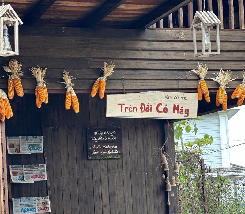 Trên Đồi Có Mây Coffee Đà Lạt, chốn chữa lành giữa rừng thông 3