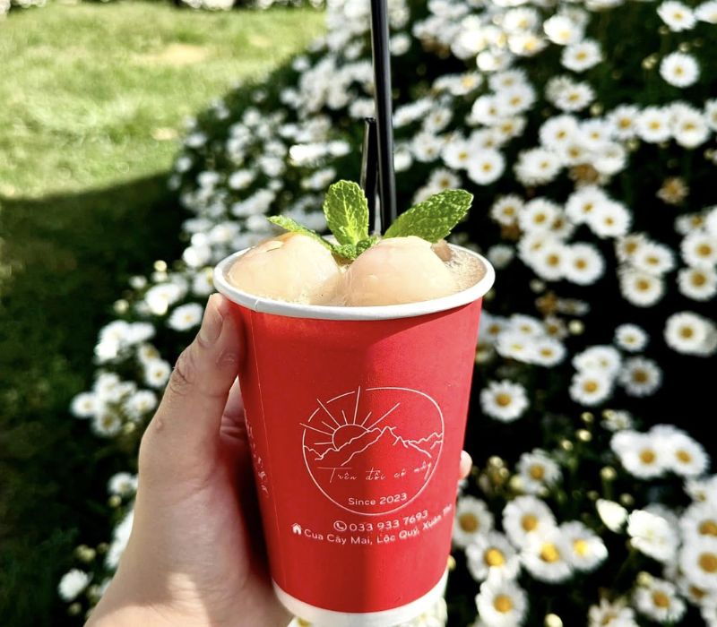 Trên Đồi Có Mây Coffee Đà Lạt, chốn chữa lành giữa rừng thông 5