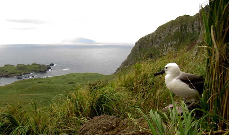 Tristan da Cunha miền đất cô độc giữa Nam Đại Tây Dương 8