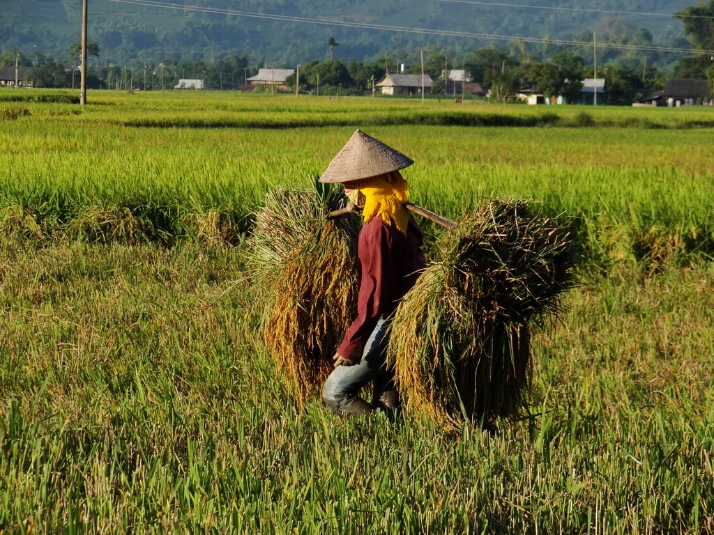 Trọn bộ Kinh nghiệm phượt Yên Bái tự túc dành cho 'team chiếu mới' 7