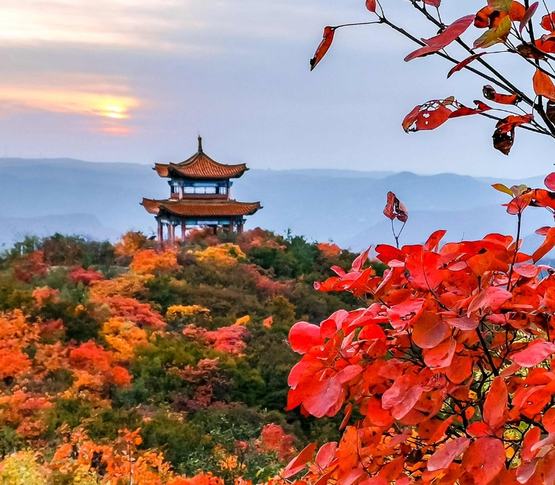 Du lịch Trung Nguyên Trung Quốc, khám phá cái nôi văn minh Hoa Hạ 4
