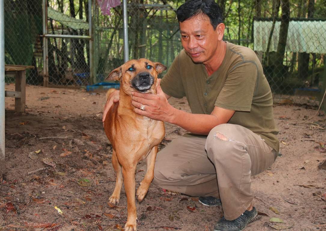 Trung tâm bảo tồn chó xoáy Phú Quốc – Quốc khuyển linh hồn của đảo Ngọc 4