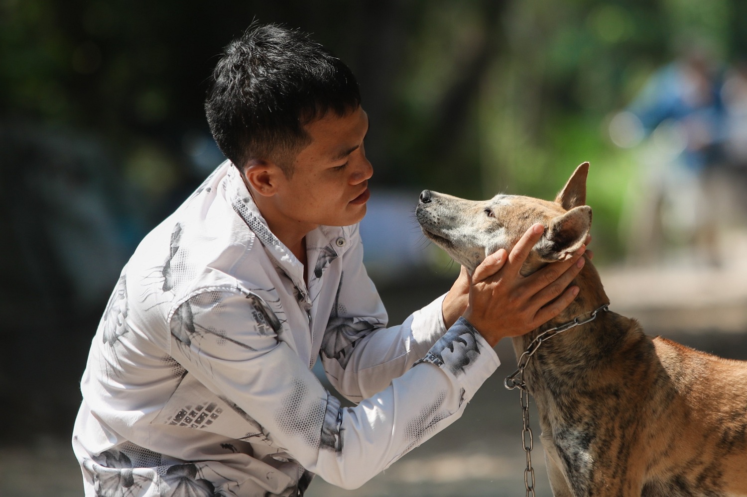 Trung tâm bảo tồn chó xoáy Phú Quốc – Quốc khuyển linh hồn của đảo Ngọc 13