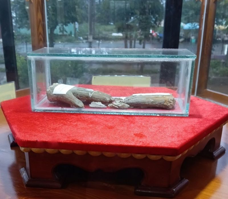 Ghé thăm Trung tâm hành hương Đức Mẹ Măng Đen nổi tiếng Kon Tum 7