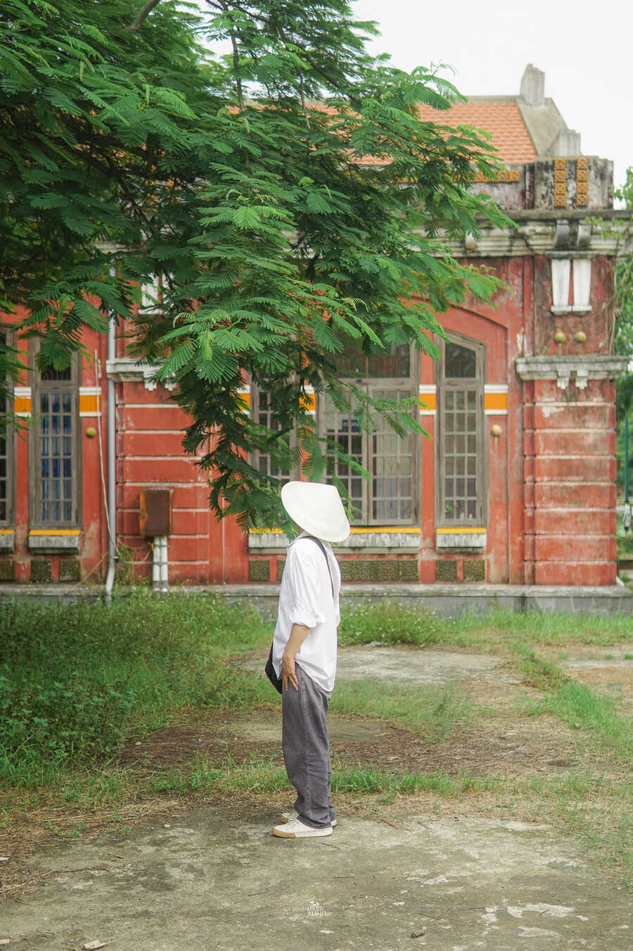 Trường Quốc học Huế, không gian cổ kính tĩnh lặng giữa vùng kinh kỳ 6