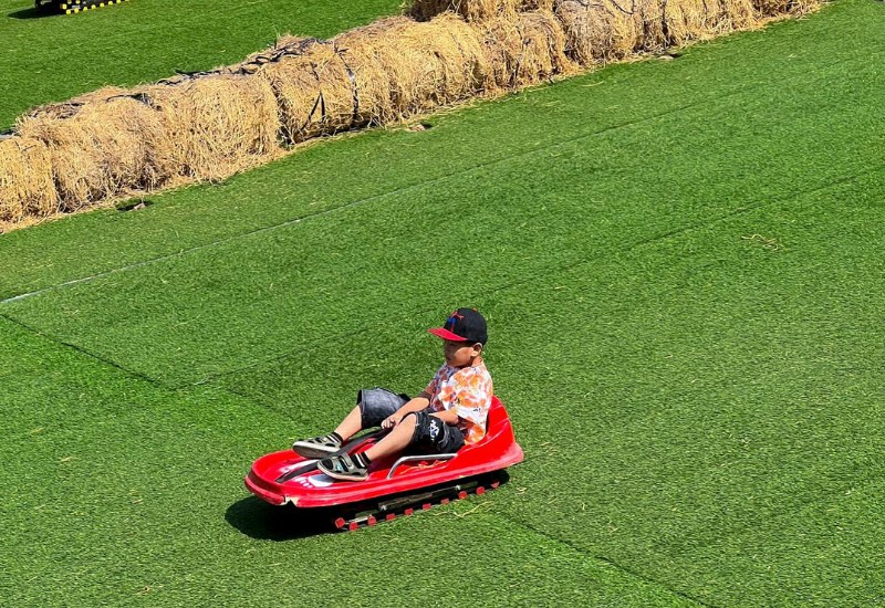 Mongo Land Dalat: Review A - Z giá vé và hoạt động vui chơi 7