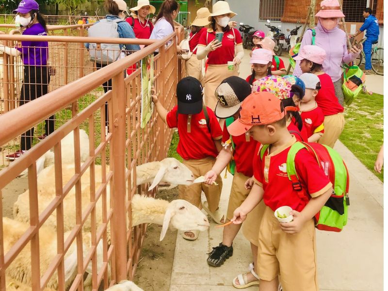 Khám phá TTC Mekong Aqua Park: Thiên đường giải trí tại Bến Tre 8