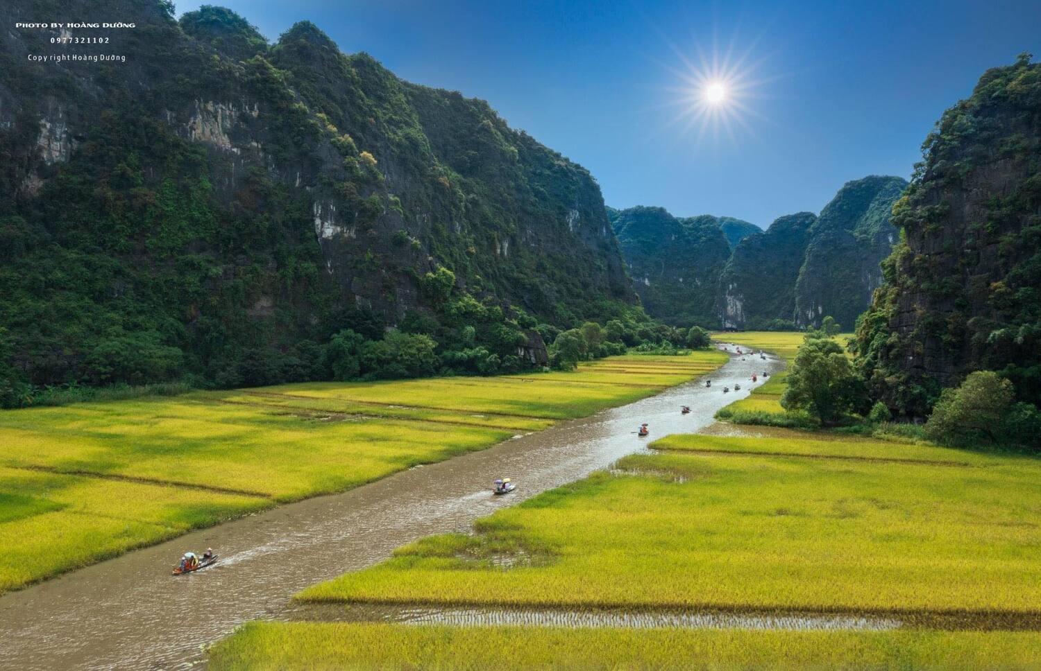 Tự hào 'Sắc vàng Tam Cốc', lá cờ hội bằng lúa lớn nhất Việt Nam 2