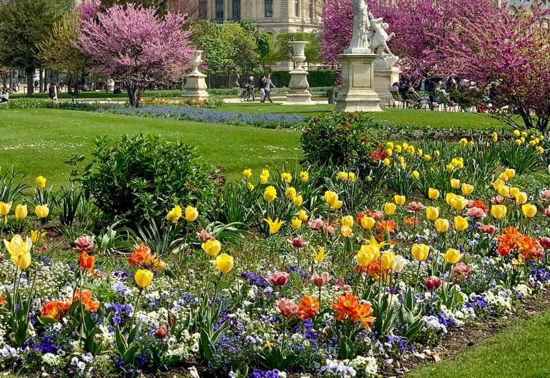 Jardin Des Tuileries: Ốc đảo rực rỡ, diễm lệ giữa lòng Paris 11