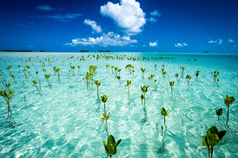 Tuvalu nơi chạm vào sự tĩnh lặng của đại dương 6
