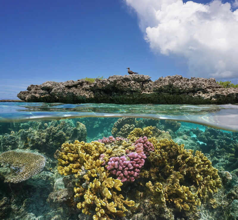 Tuvalu nơi chạm vào sự tĩnh lặng của đại dương 8