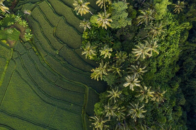 Trải nghiệm du lịch Ubud, nơi rực rỡ sắc màu văn hóa bản địa Bali 2