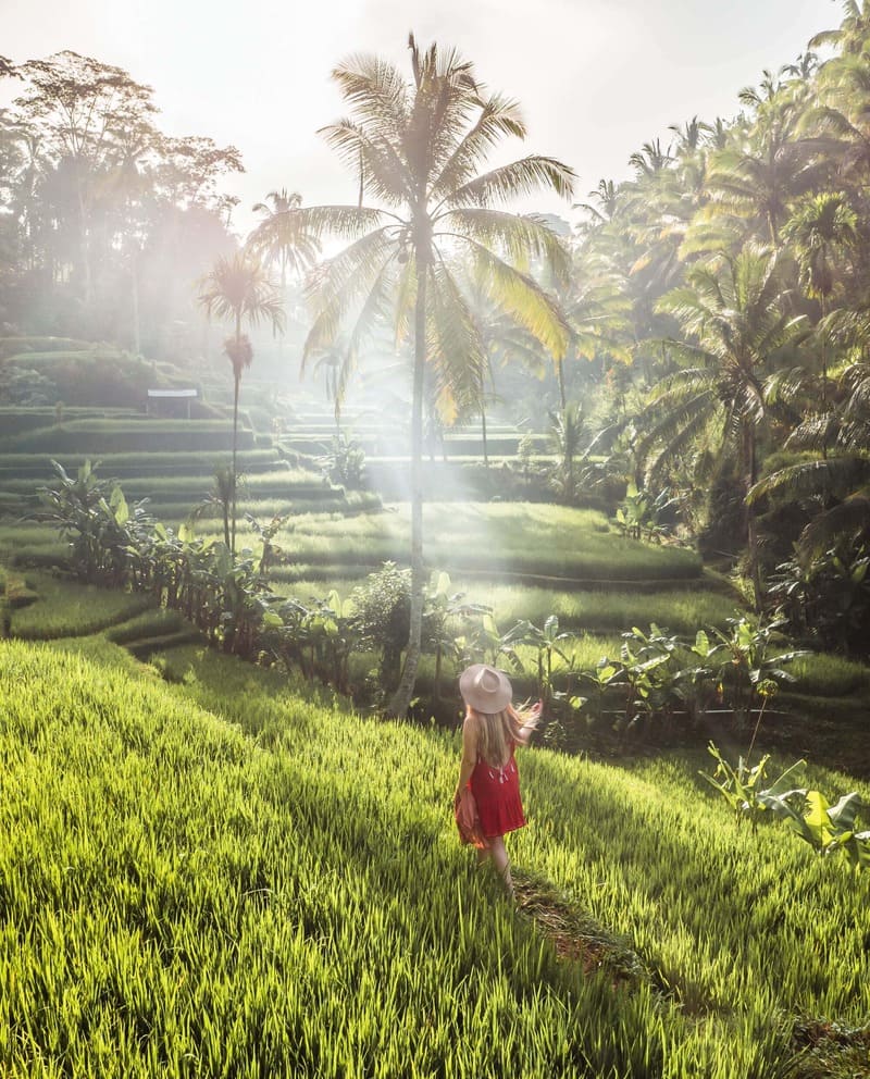 Trải nghiệm du lịch Ubud, nơi rực rỡ sắc màu văn hóa bản địa Bali 5