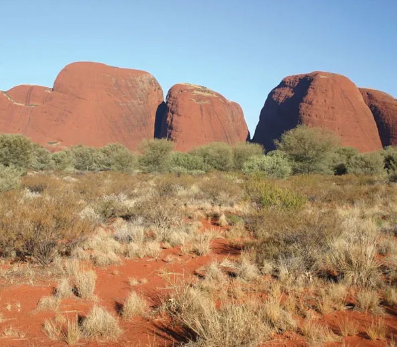 Uluru, bí mật và vẻ đẹp ẩn giấu của vùng sa mạc đỏ nước Úc 6