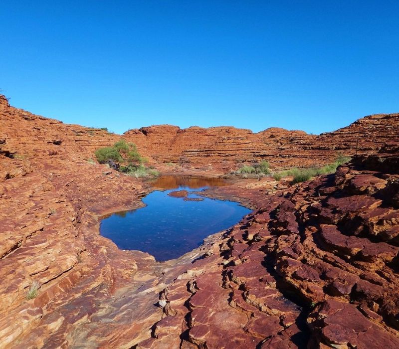 Uluru, bí mật và vẻ đẹp ẩn giấu của vùng sa mạc đỏ nước Úc 8