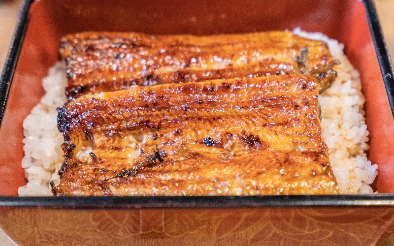 Unagi là gì? Khám phá những món ăn nổi tiếng từ Unagi 5