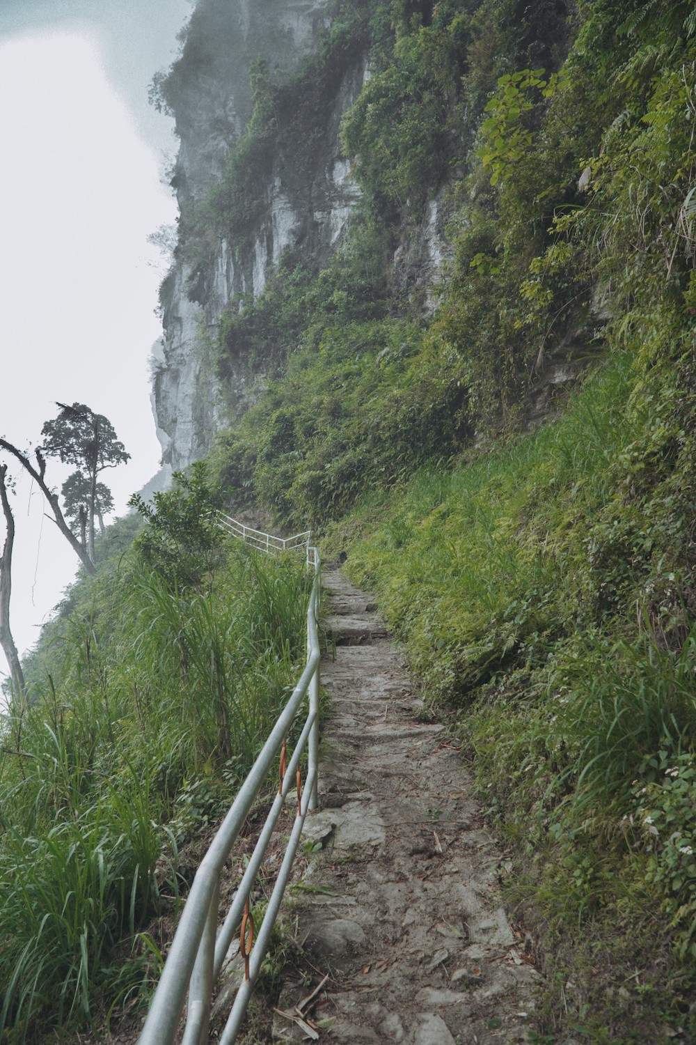 Vách đá thần Hà Giang - Từ A đến Z trải nghiệm trekking hiểm trở 5