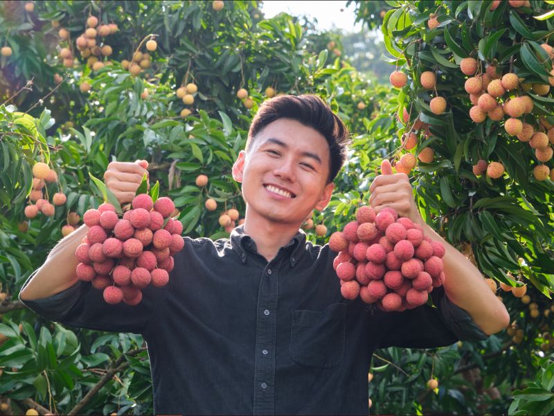 Vải thiều Lục Ngạn mùa nào ngon? Giá bán và cách chọn mua 2