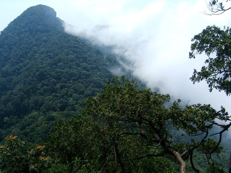 Miền núi Vân Canh Bình Định, nơi đại ngàn hoang sơ, trong lành 5