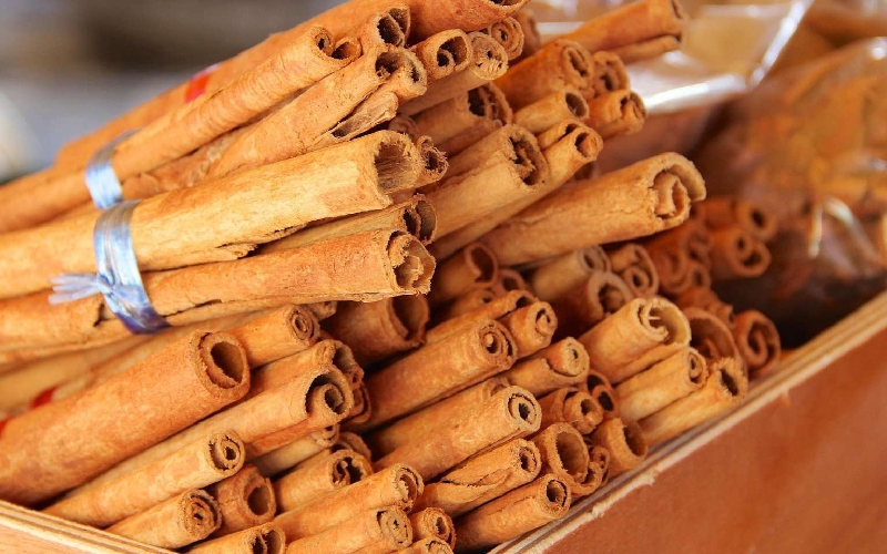 Trải nghiệm du lịch thủ phủ quế Văn Yên Yên Bái 13