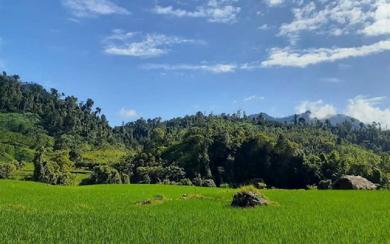 Trải nghiệm du lịch thủ phủ quế Văn Yên Yên Bái 4