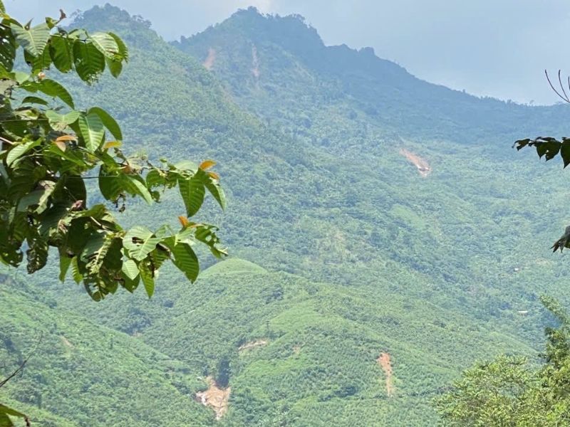 Văn Yên Yên Bái: Cẩm nang khám phá vùng đất quế Tây Bắc 8