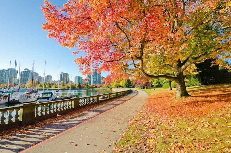 Vancouver, thành phố cảng căng tràn nhựa sống ở Tây Canada 5