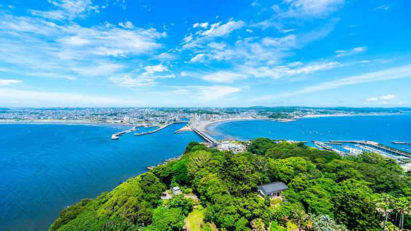 Say mê trước vẻ đẹp của đảo Enoshima Nhật Bản 3