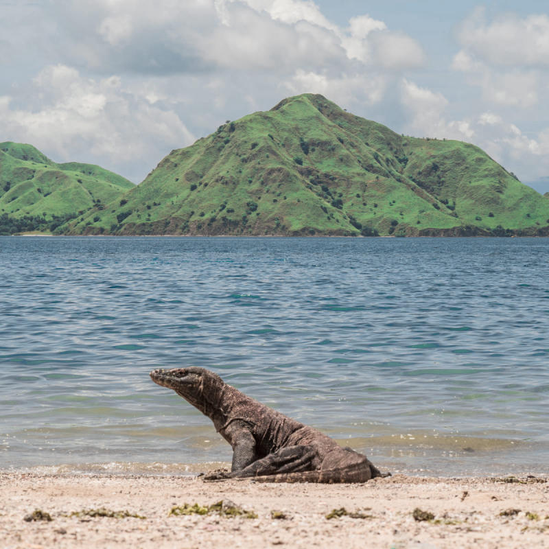 Ấn tượng trước khung cảnh Labuan Bajo đẹp đắm say lòng người 5