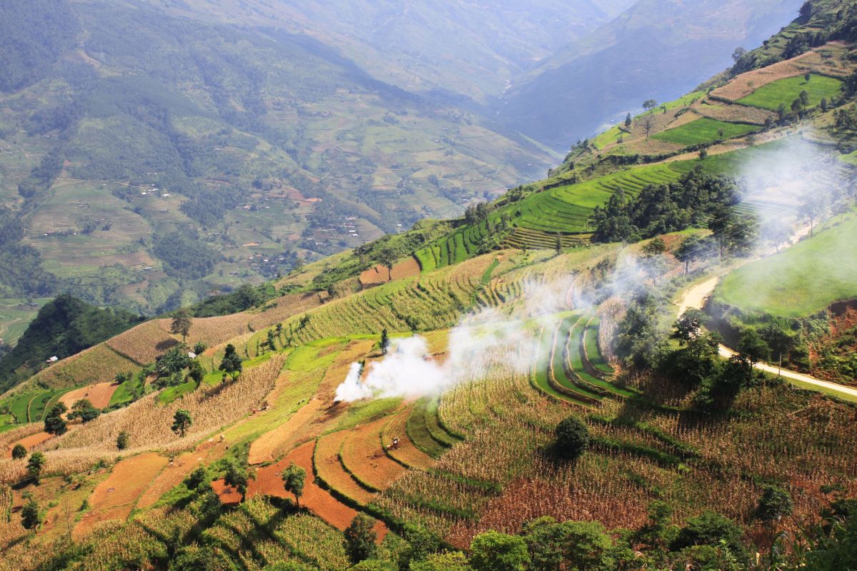 Về Hà Giang, thưởng thức đặc sản gạo Già Dui Xín Mần luôn cháy hàng 4