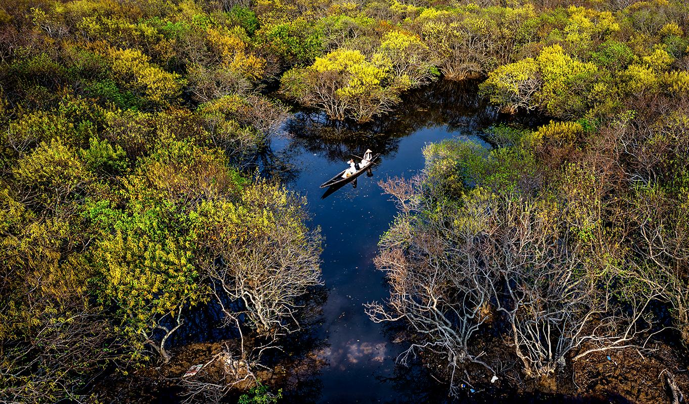 Về rừng ngập mặn Rú Chá rảo bước giữa lá phổi xanh trong lòng đất Huế 12