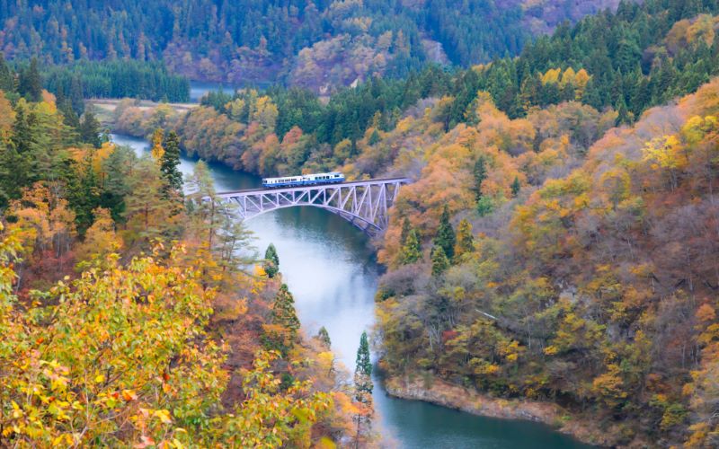 Về thăm Fukushima, nơi sự sống hồi sinh tại xứ sở mặt trời mọc 3