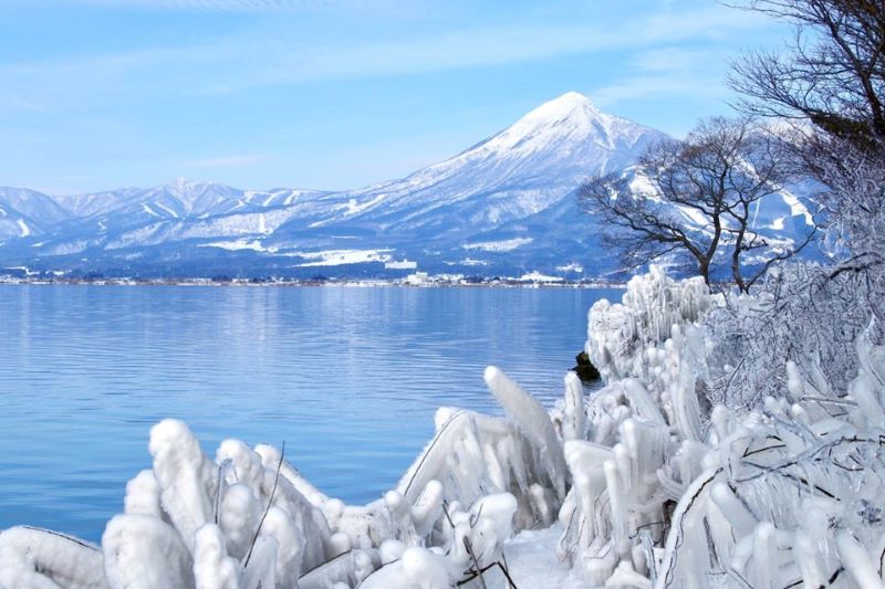 Về thăm Fukushima, nơi sự sống hồi sinh tại xứ sở mặt trời mọc 9