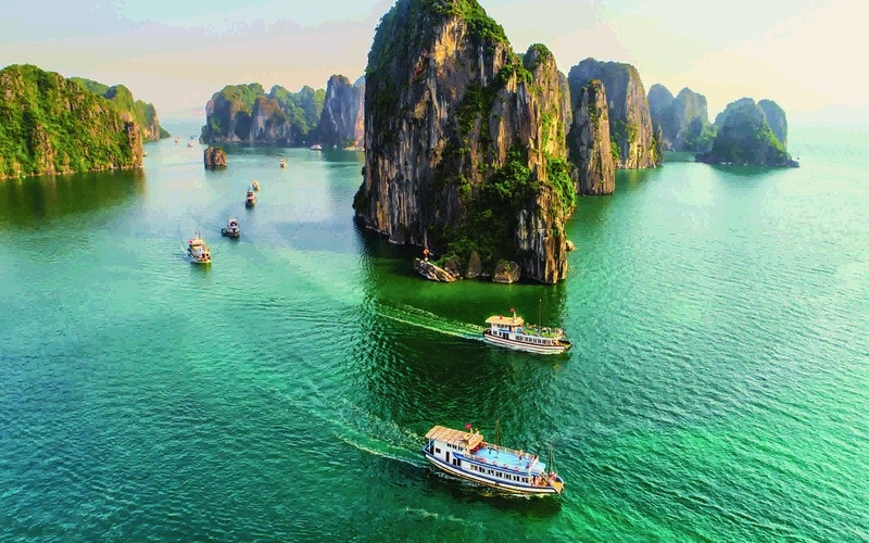 Khám phá Vịnh Côn Sơn: Viên ngọc xanh giữa lòng Côn Đảo 8