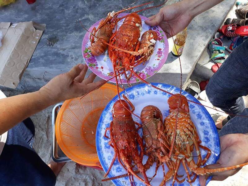 Vịnh Hòa Phú Yên: Tọa độ nằm nghe biển hát lời thơ 9