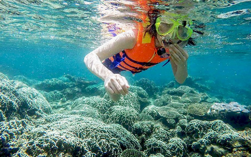 Khám phá vịnh Vĩnh Hy: Viên ngọc xanh hoang sơ ở Ninh Thuận 7