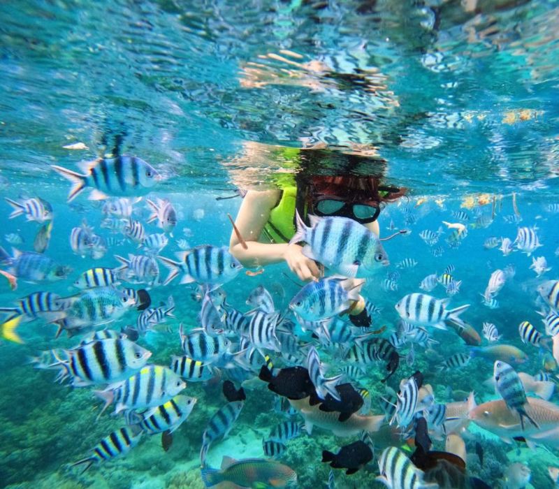 Khám phá Vịnh Nha Trang: Thiên đường nghỉ dưỡng hàng đầu Việt Nam 7