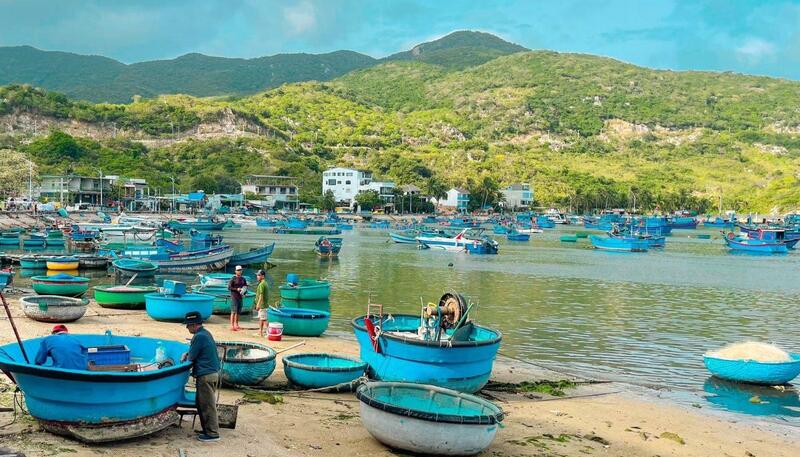 Khám phá vịnh Vĩnh Hy 2026: Cẩm nang du lịch chi tiết từ A-Z 6