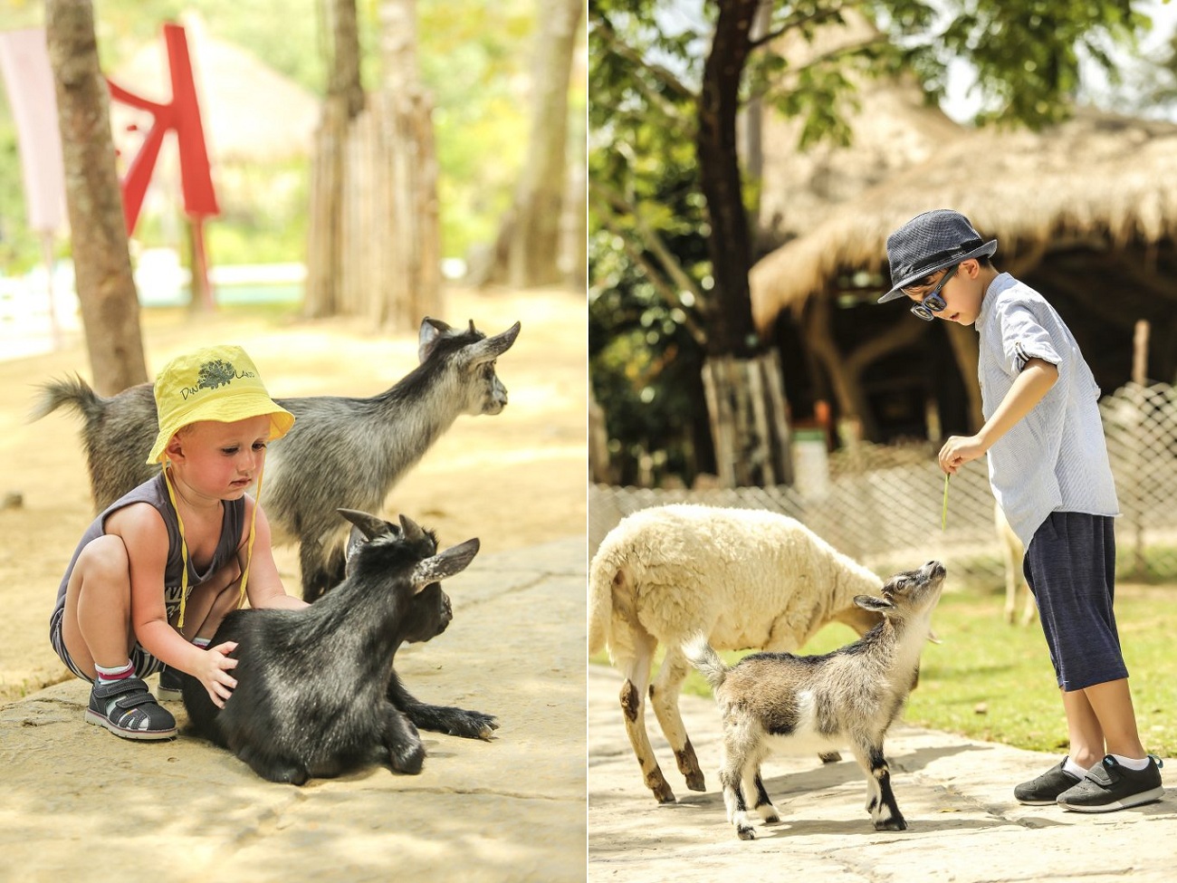 Vinpearl Safari Phú Quốc – Review từ A-Z mô hình bán sở thú hoang dã đầu tiên tại Việt Nam 7